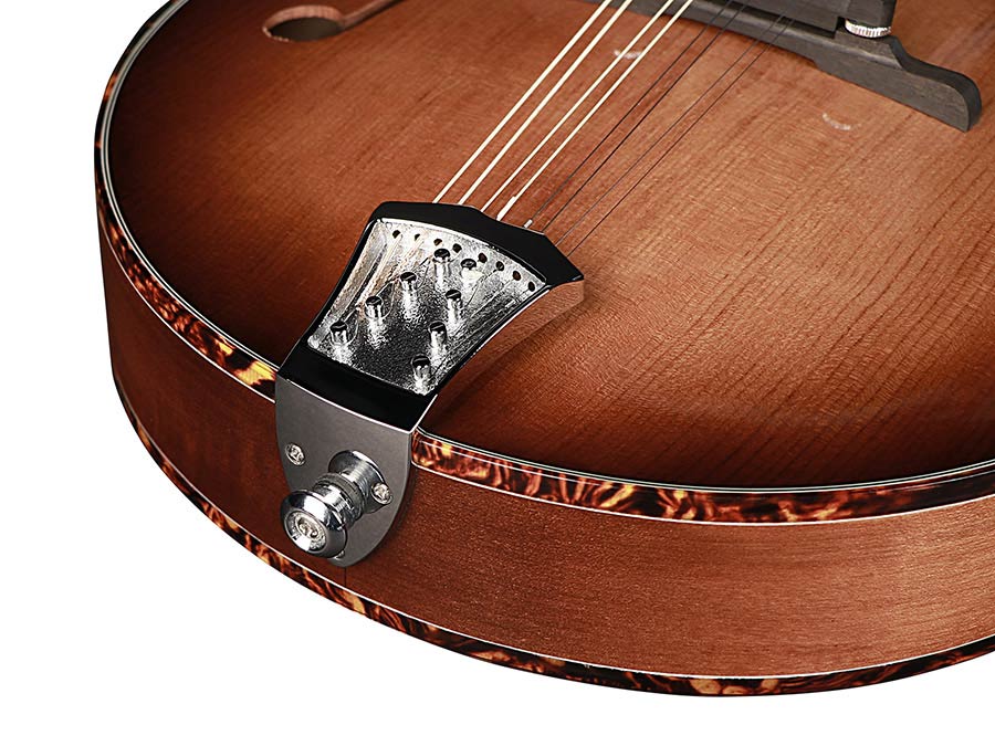 Richwood All Solid Master Series A-style mandolin with solid maple body & solid spruce top - 4