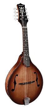 Richwood All Solid Master Series A-style mandolin with solid maple body & solid spruce top