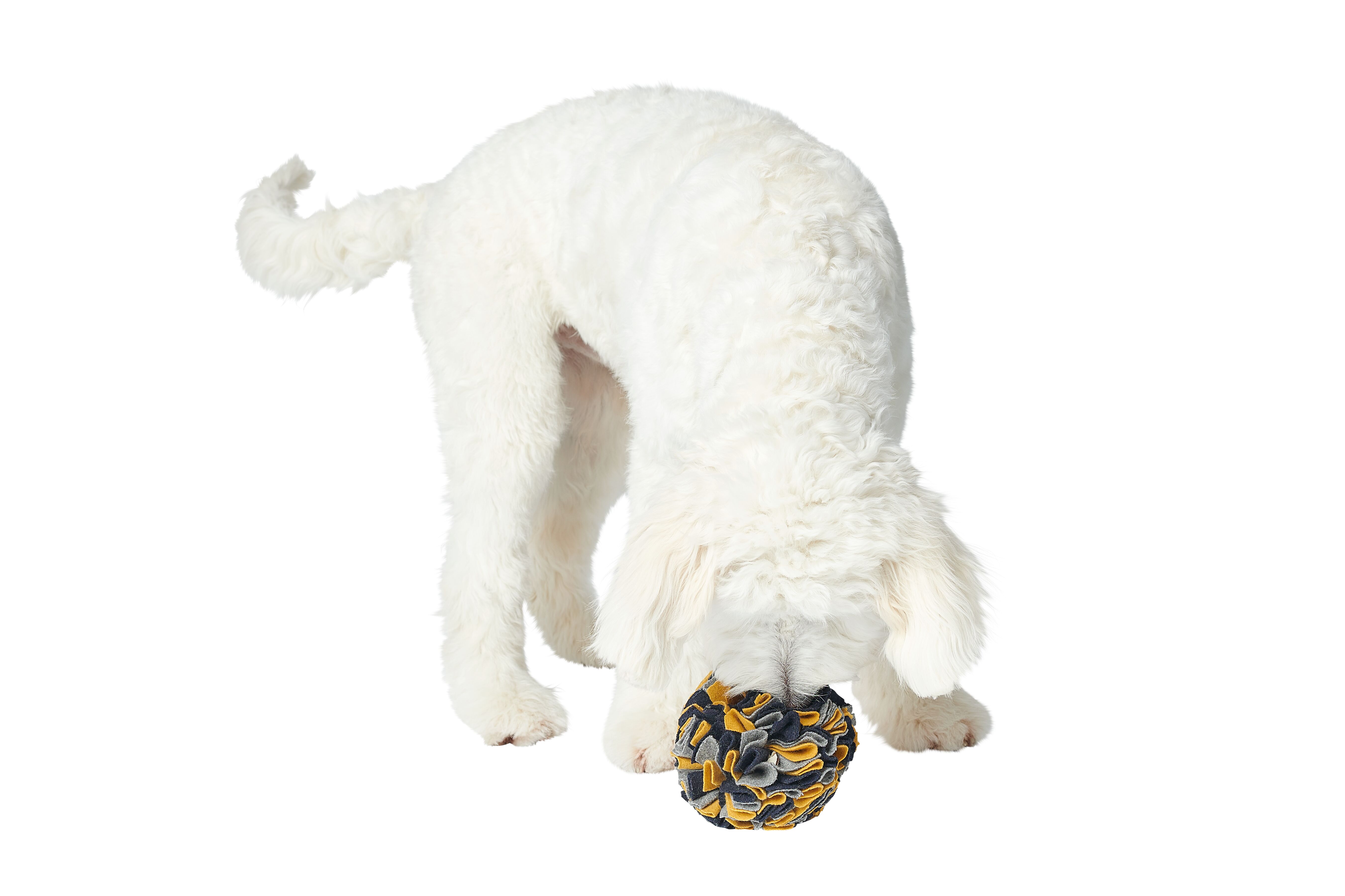 HUNTER Hundleksak Eiby sniffboll - 2