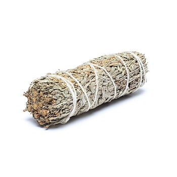 Shasta Sage - 2 St.