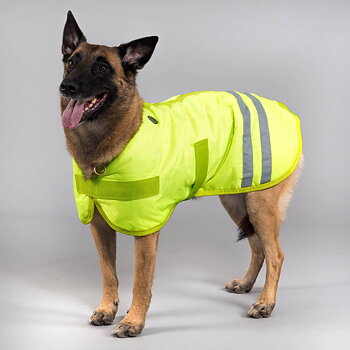 Globus refleksdekken til hund