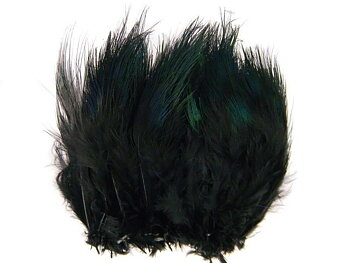 Ringneck Rump Hackle