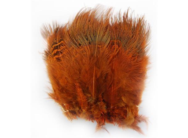 Ringneck Rump Hackle - 6