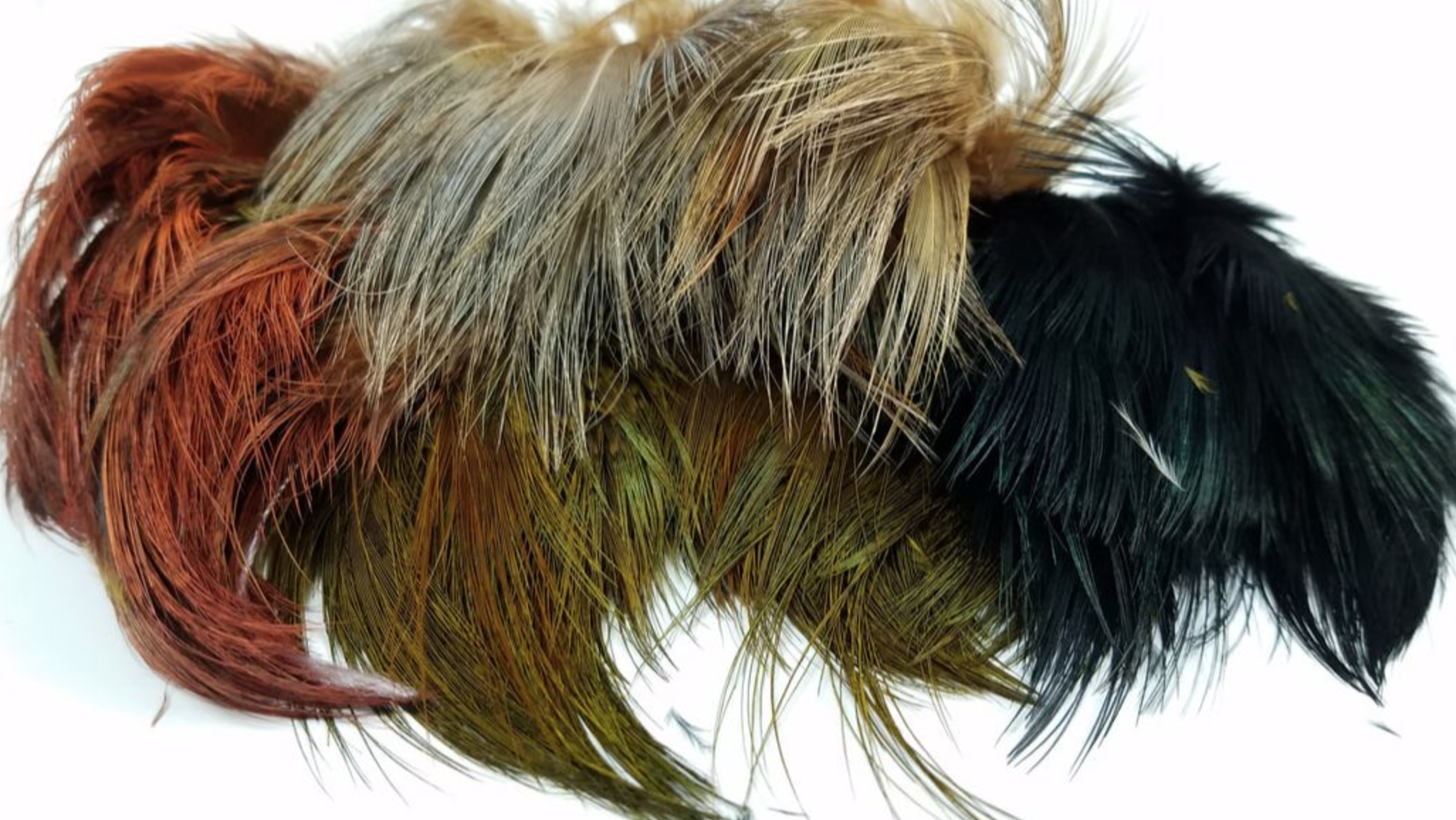 Ringneck Rump Hackle