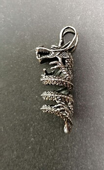 Drake Hänge i Silver  - Coiled