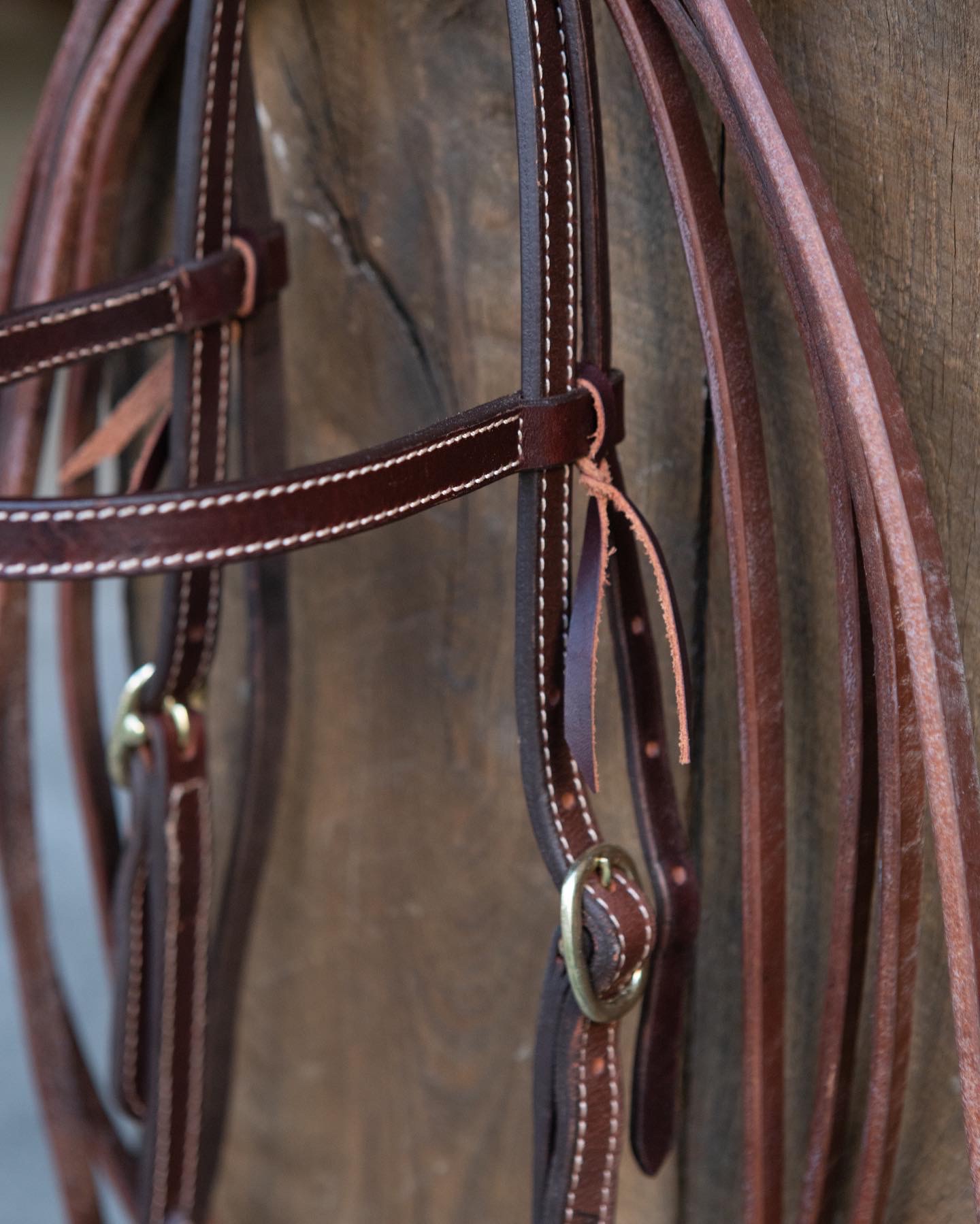 All That Oklahoma Headstall - 2