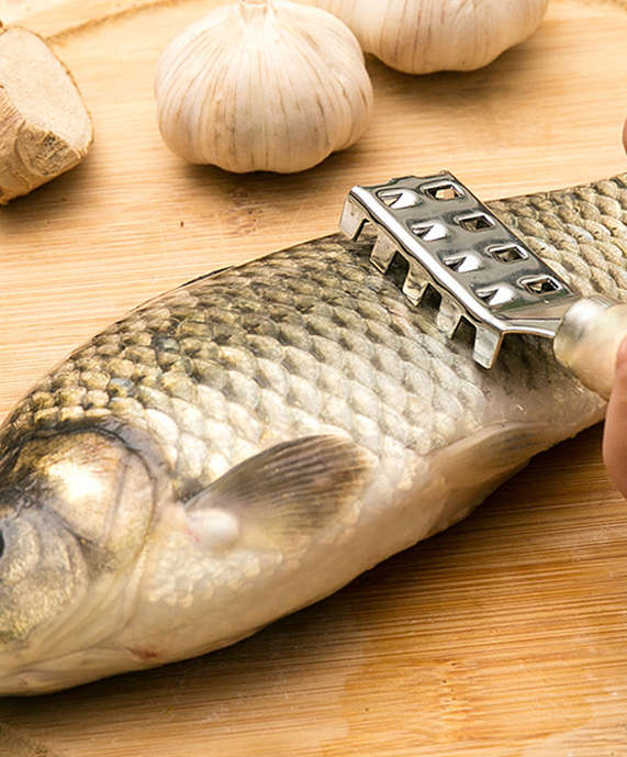 Fiskfjällsborttagare/Fiskfjällare - Rostfritt Stål Platt Grov