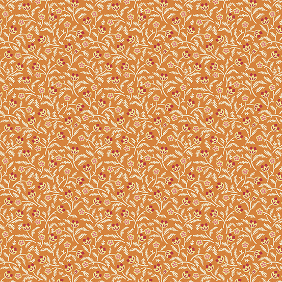 Gossip Tangerine