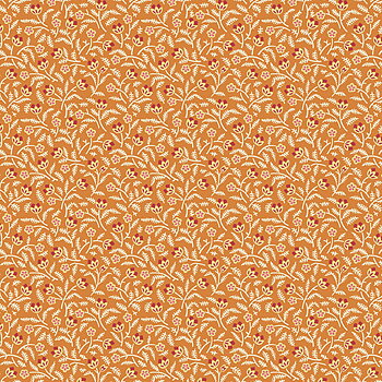 Gossip Tangerine