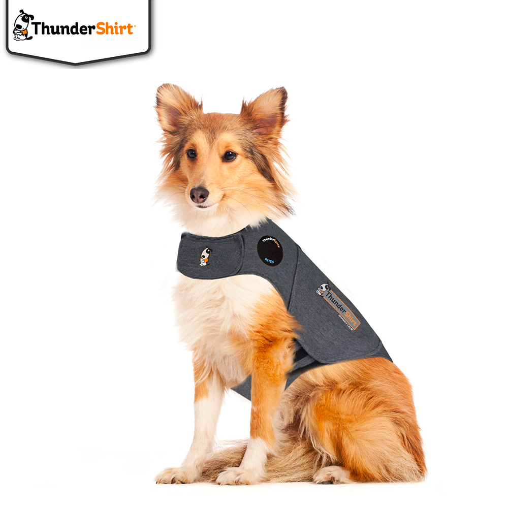 ThunderShirt Hund, flera storlekar  - 2
