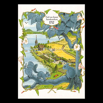 Carl von Linnés Barndomshem 1712 - Björn Bergenholtz - 406