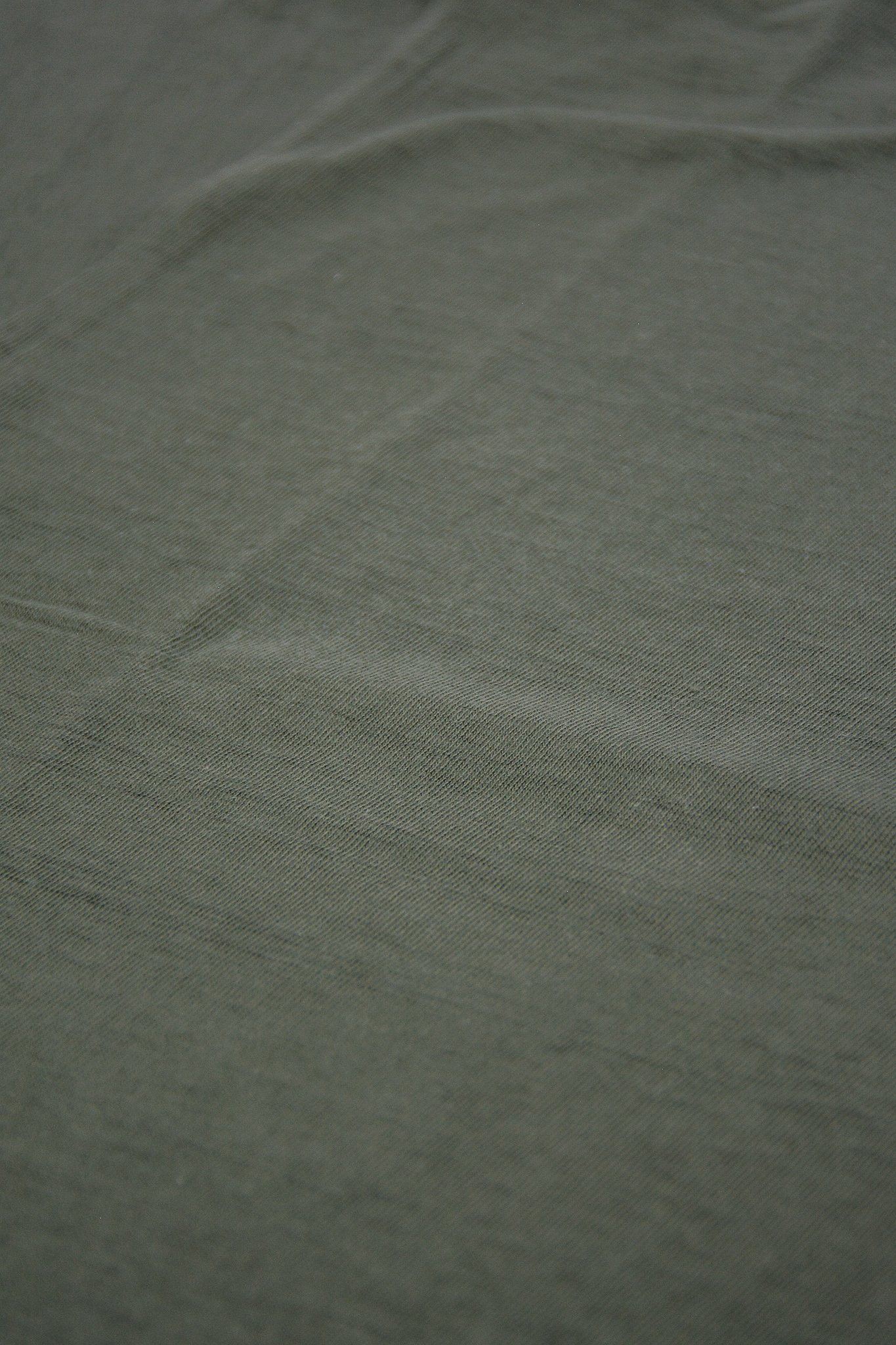 Warehouse & CO - 4601 Plain T-shirt Green - 5