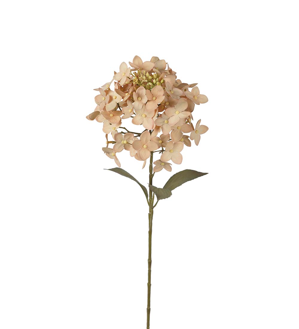 Hortensia / 65cm