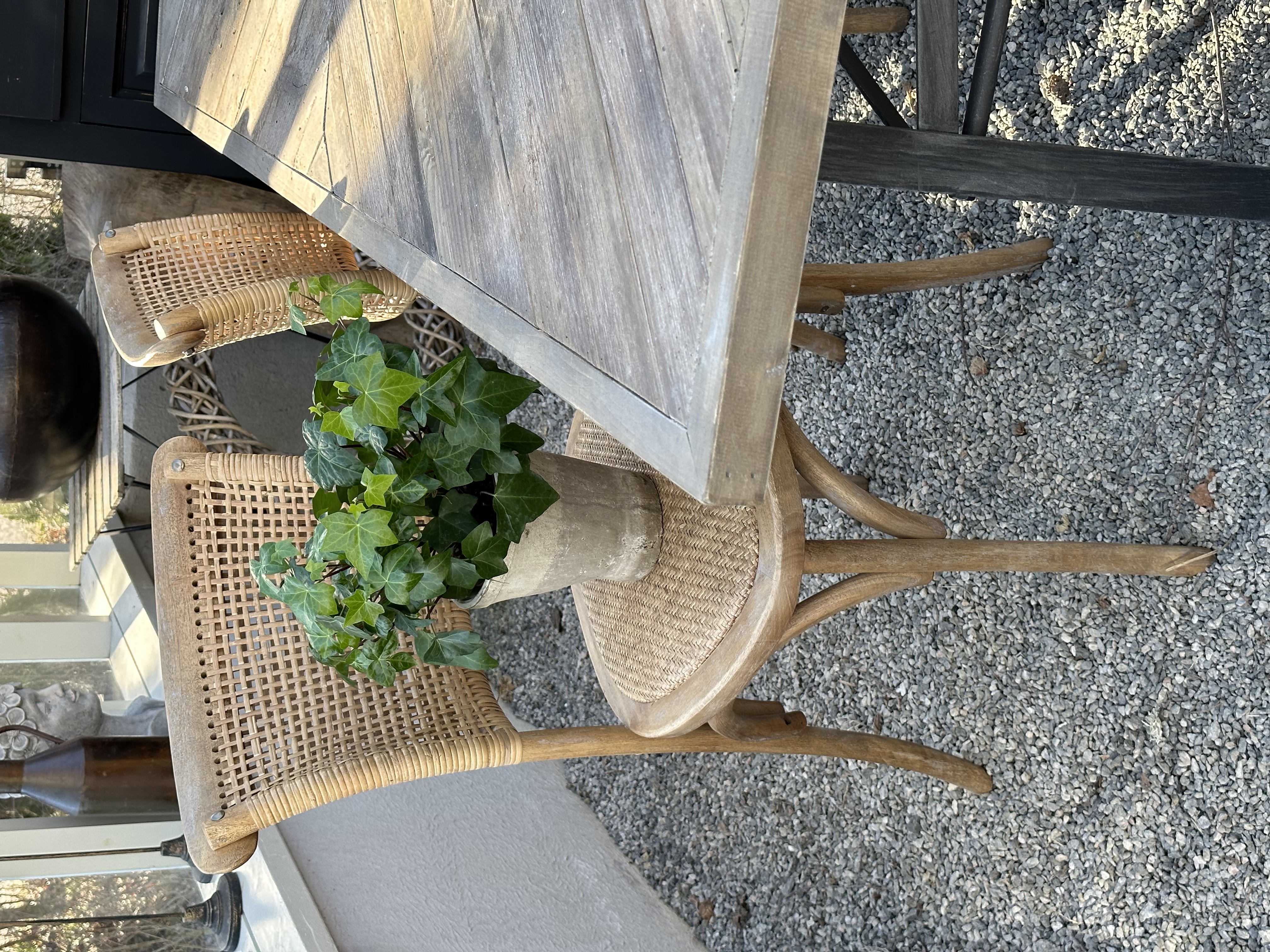 French chair with woven seat & backrest - Rattan - Bentwood - 2-pack - 5
