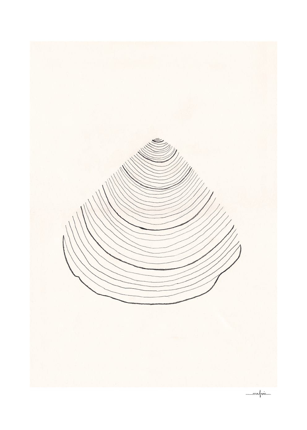Poster Shell 30x40 cm - 2