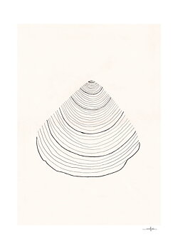 Poster Shell 30x40 cm