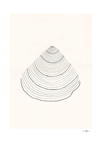 Poster Shell 30x40 cm