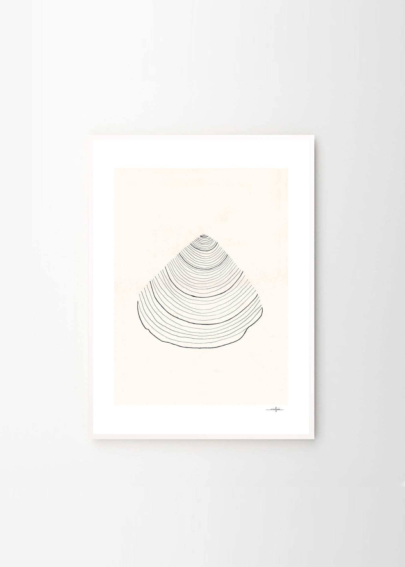 Poster Shell 30x40 cm - 4