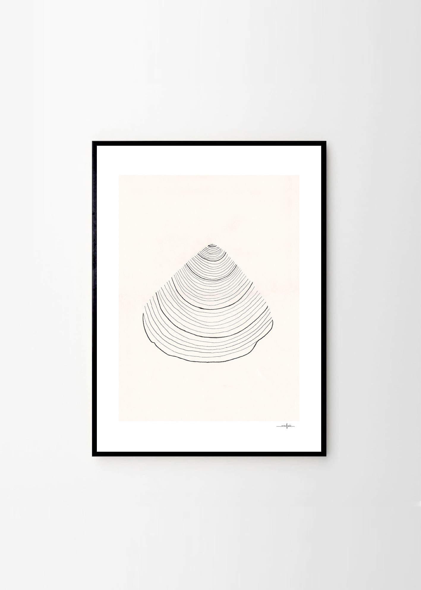 Poster Shell 30x40 cm