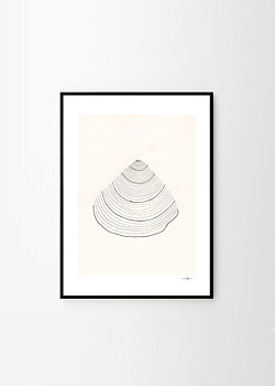 Poster Shell 30x40 cm