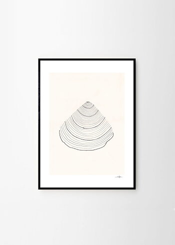 Poster Shell 30x40 cm