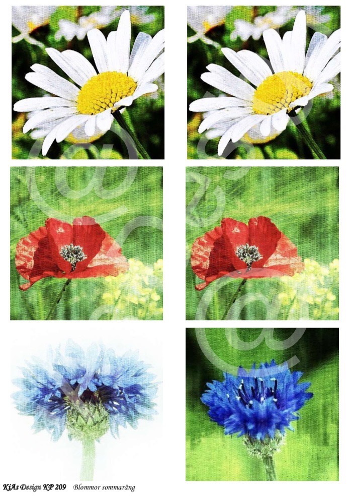 KD Klippark 209 Blommor sommaräng   