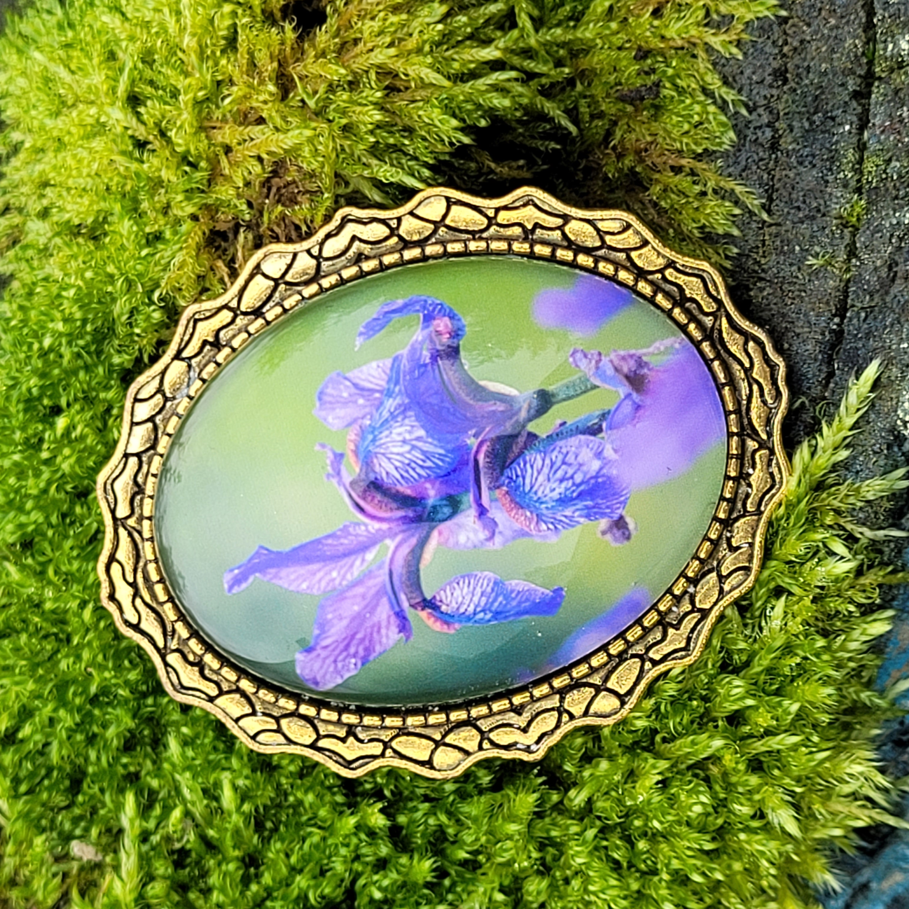 Iris