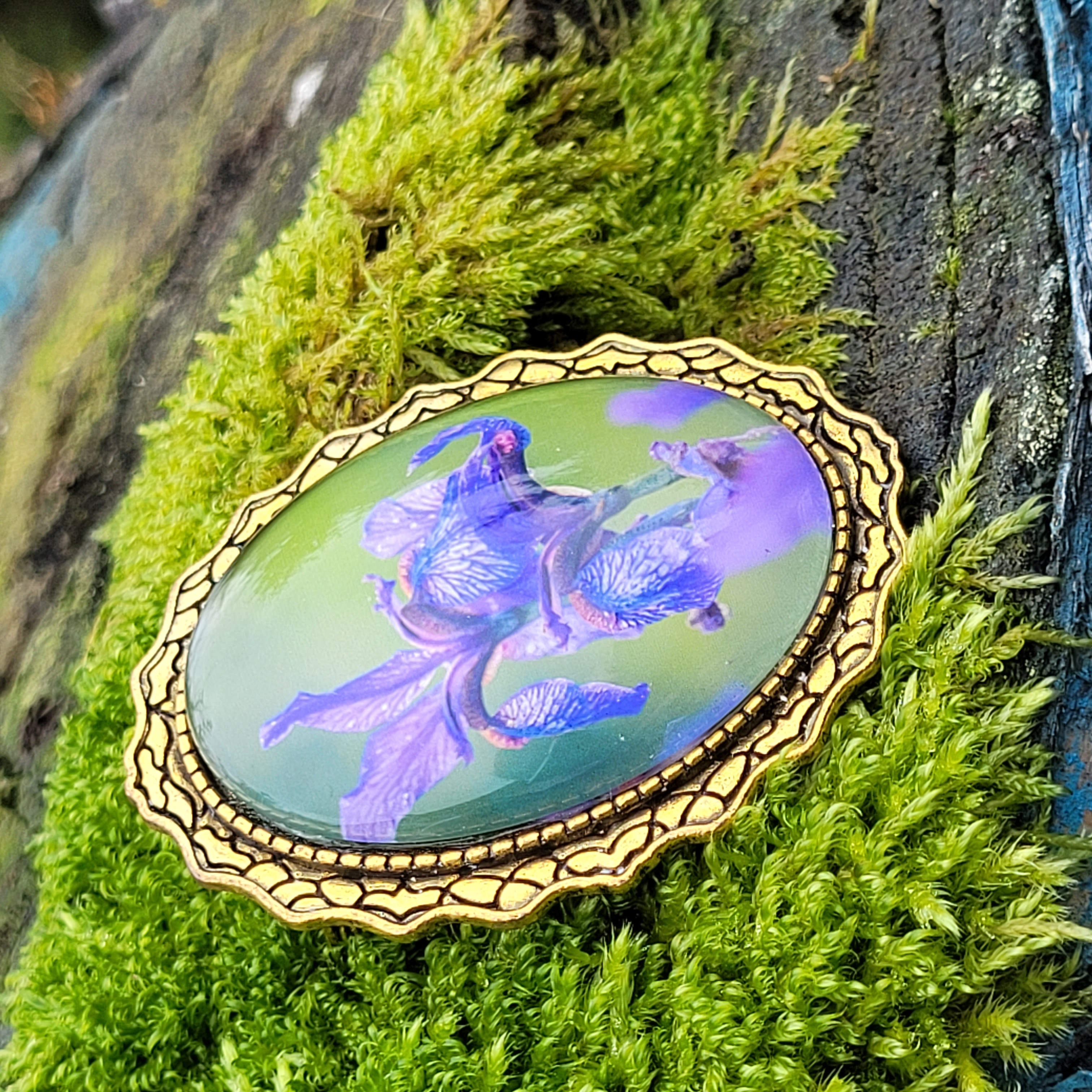 Iris - 3