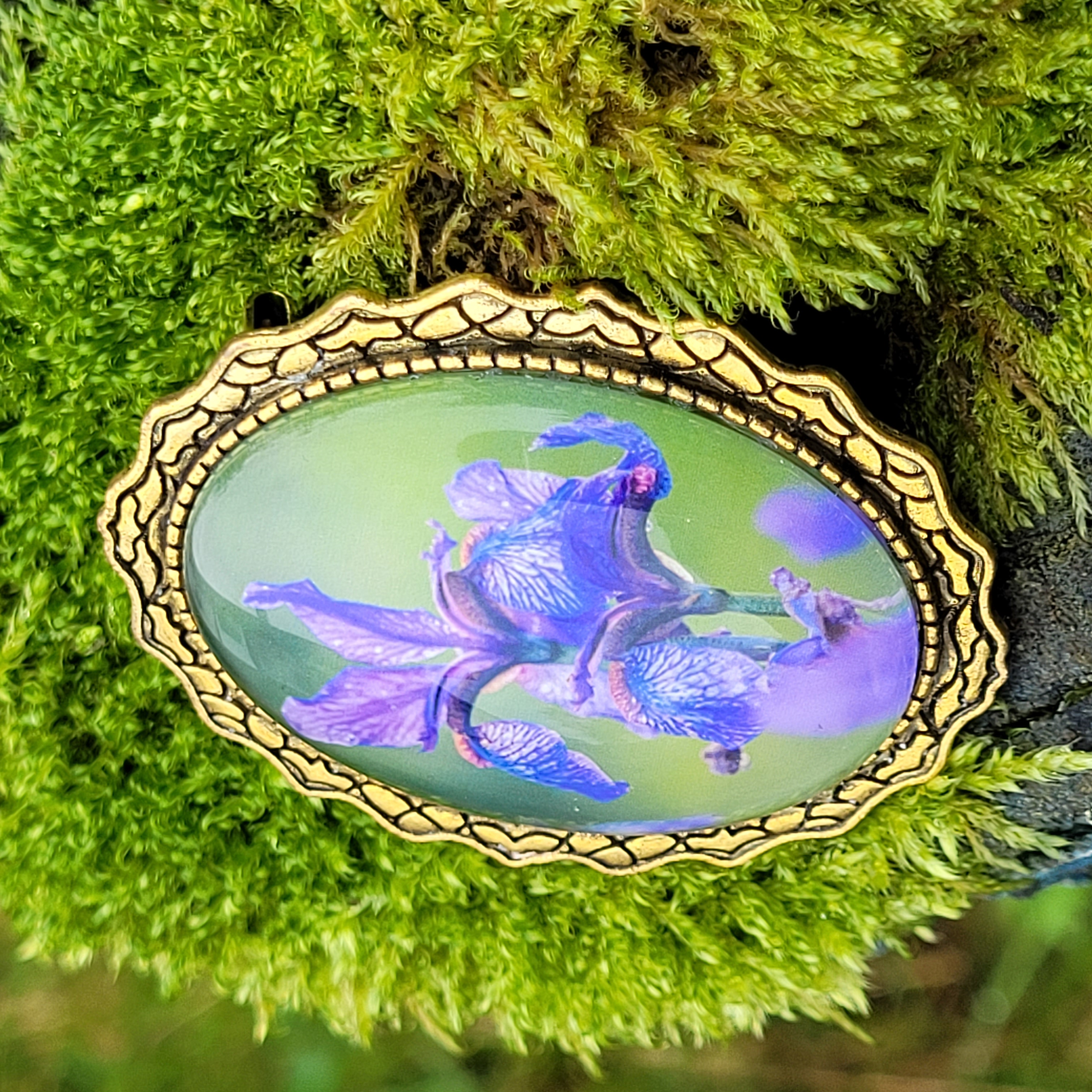 Iris