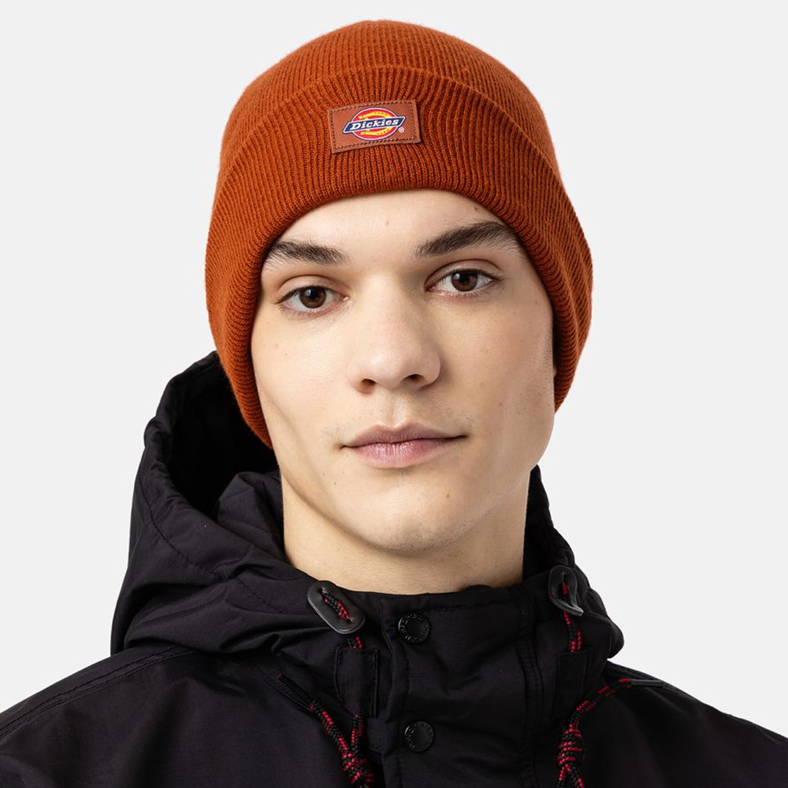 Dickies - Gibsland Gingerbread - 5