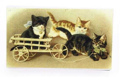 Matchbox Katter