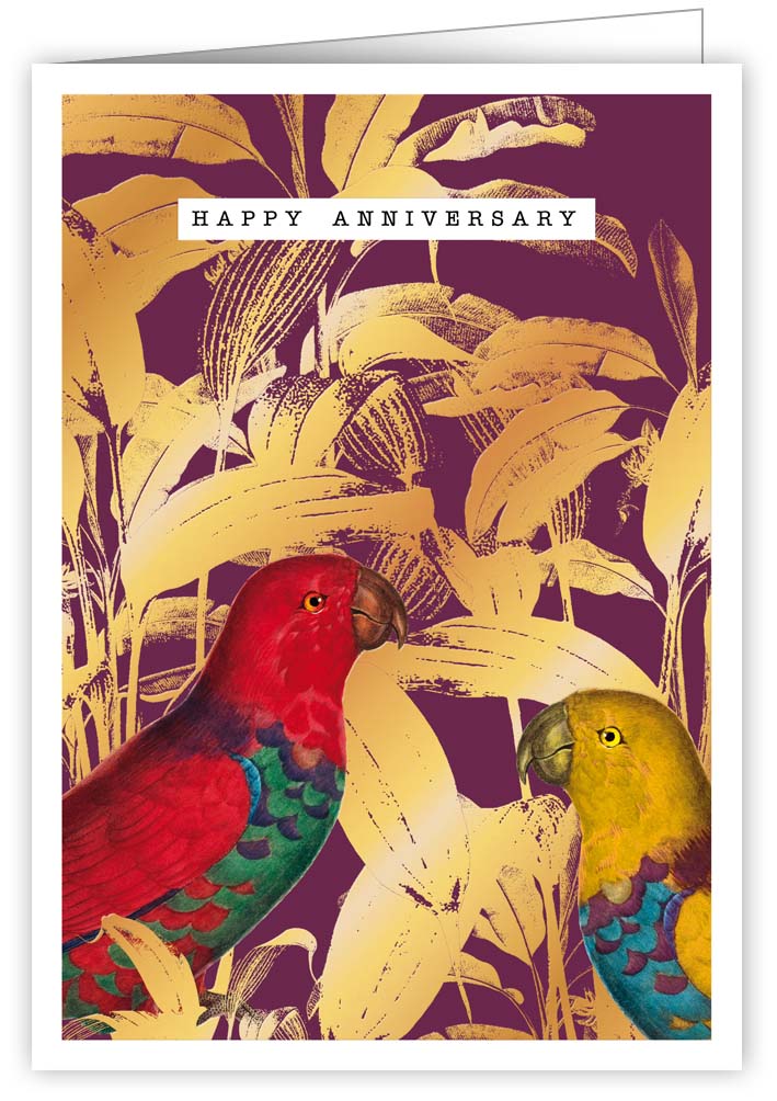 Parrots, Brilliant & Wild, 0474