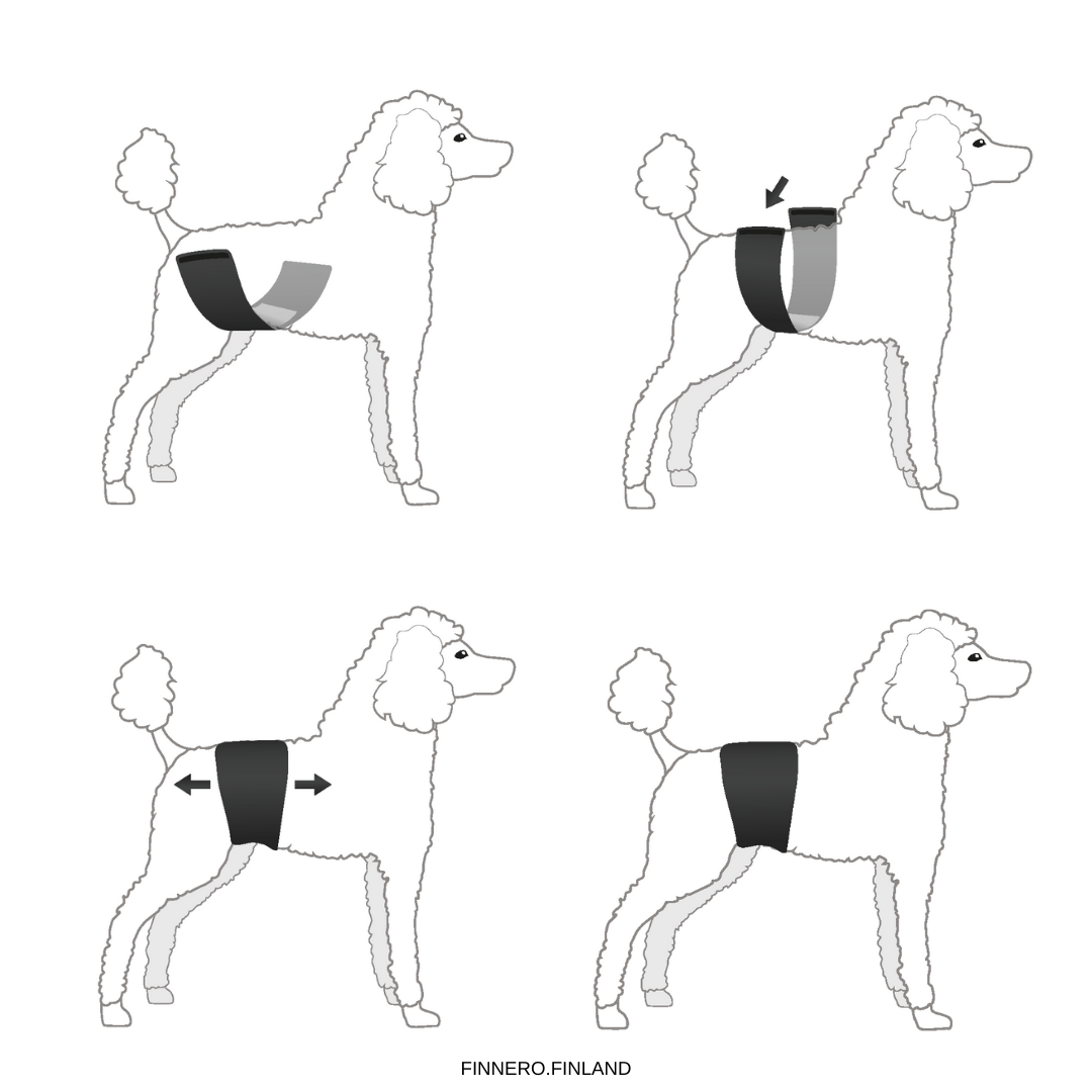 FinNero JustinCase Male Dog Wrap Svart - 4