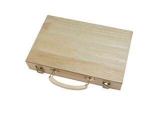 Brain Games Backgammon in case