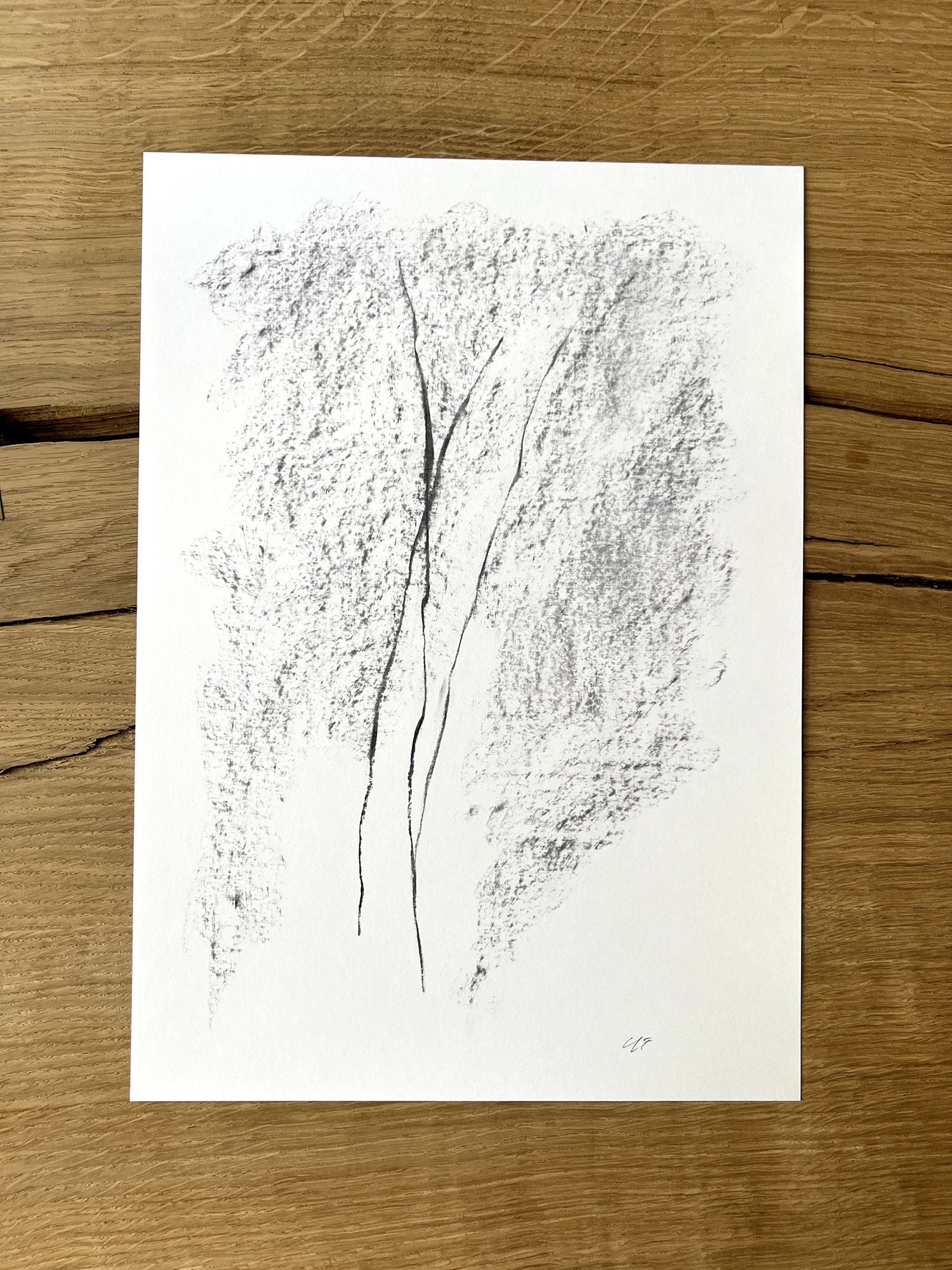 SPRICKA No1. Käringön