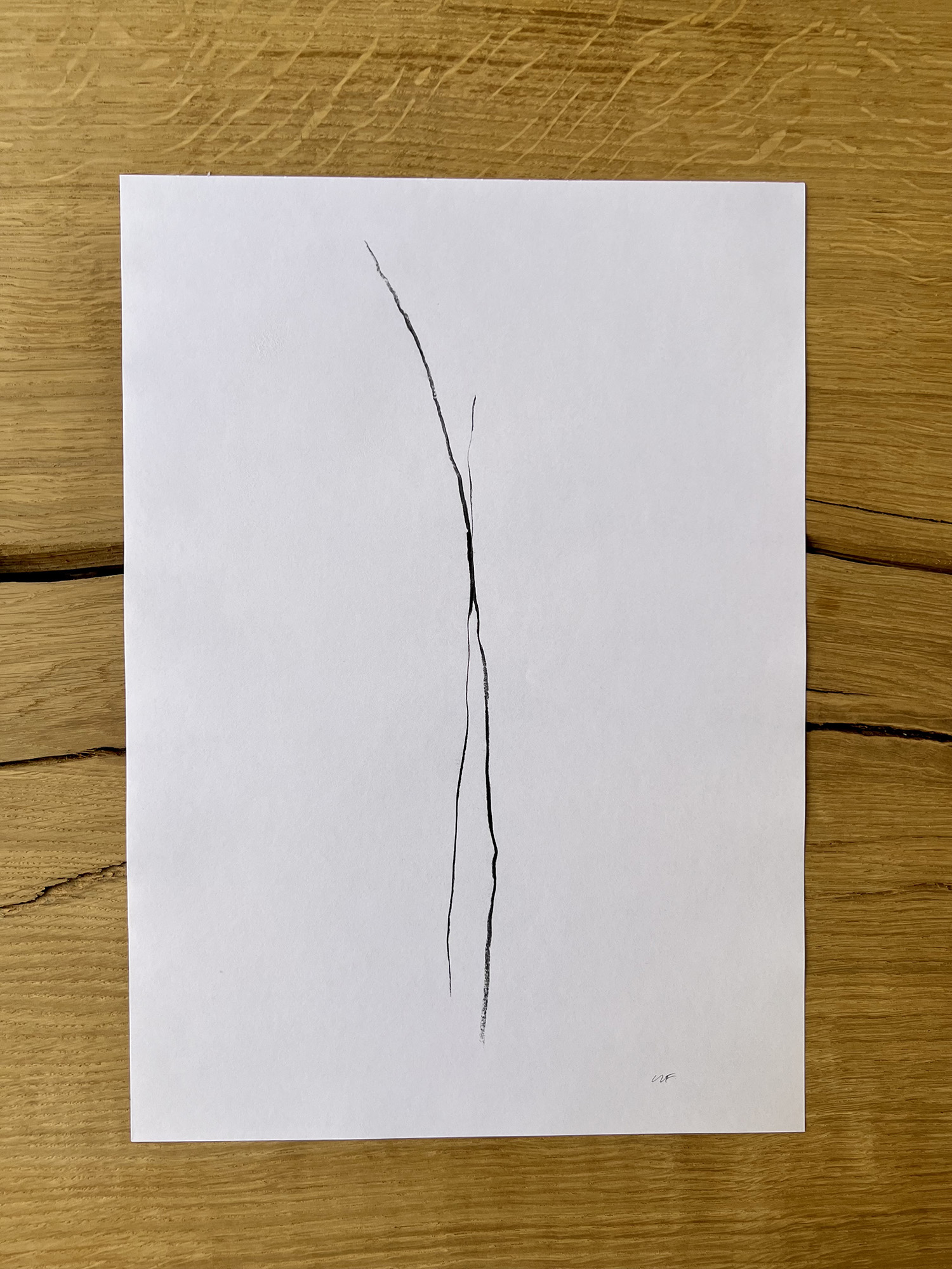 SPRICKA No24. Käringön