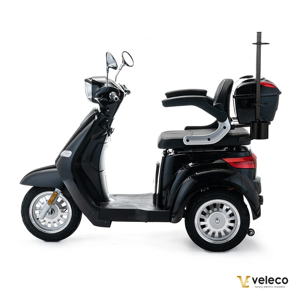 Gå-scooter Cristal  Svart - 9