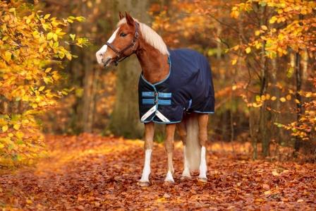 Horseware AMIGO BRAVO PONNY 250 gram navy/turkos