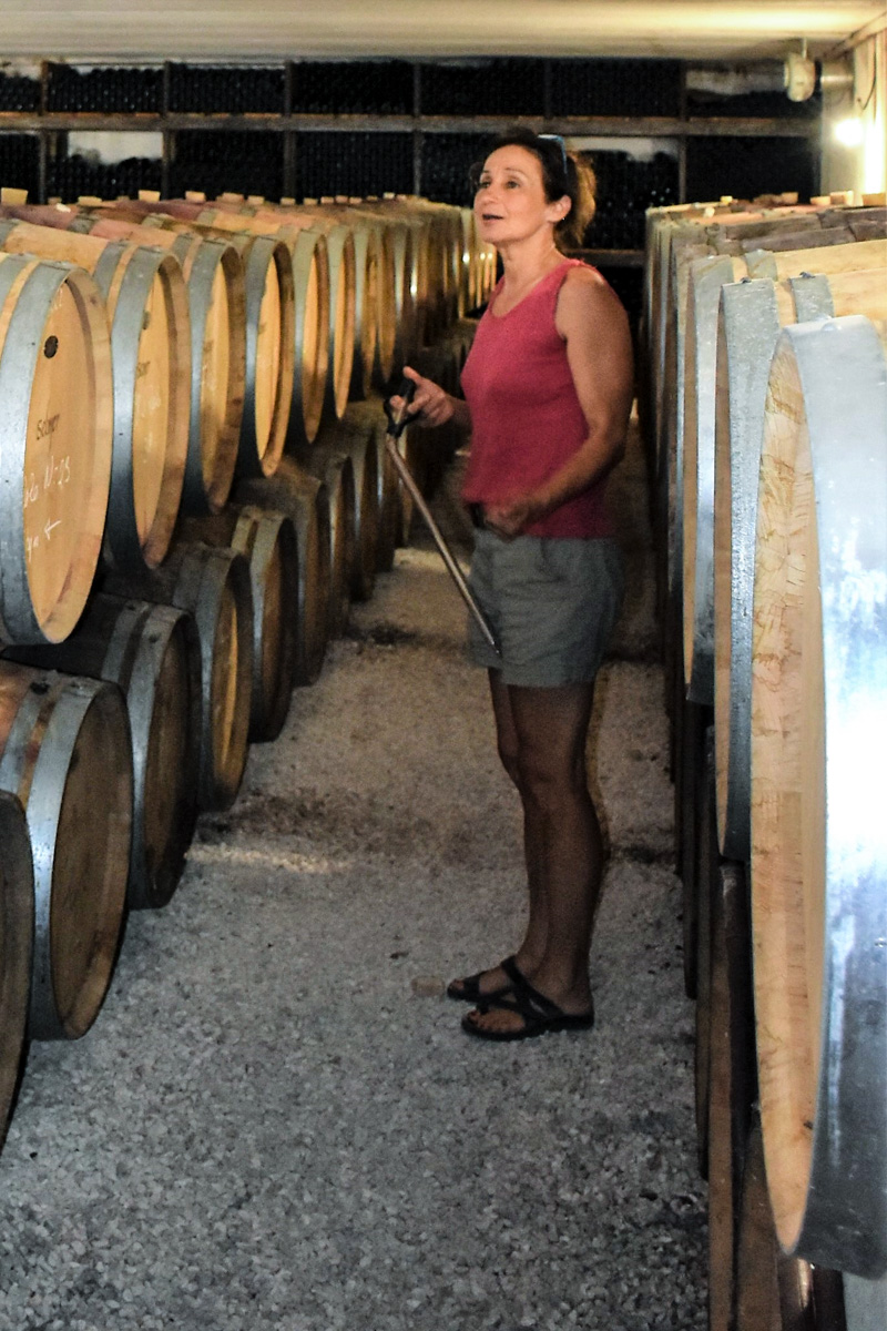 Domaine  Cosse Maisonneuve