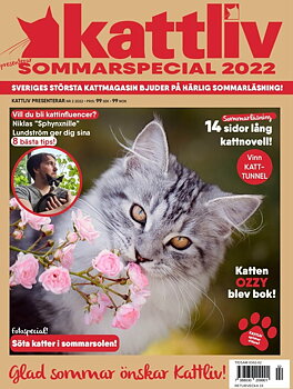 Sommarspecial 2022