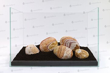Aquadeco - Rainstone Pebbles Beige 25kg