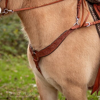 Anatomical breastcollar, Edix© Rose (incl. double padding), cognac