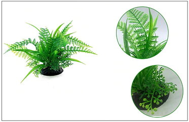 AK - Fern 13cm