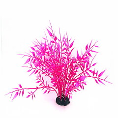 AK - Bambu Pink 22cm