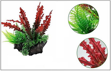 Ak - Cryptocoryne Röd på rot 21cm