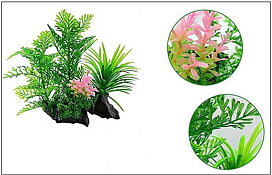 AK - Difformis på rot 19cm