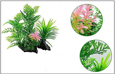 AK - Difformis på rot 19cm