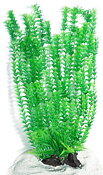 AK - Cabomba Grön 55cm