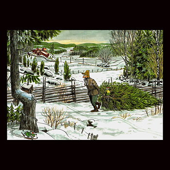 Tomtemaskinen No: 11 - Pettson och Findus - Sven Nordqvist - 150