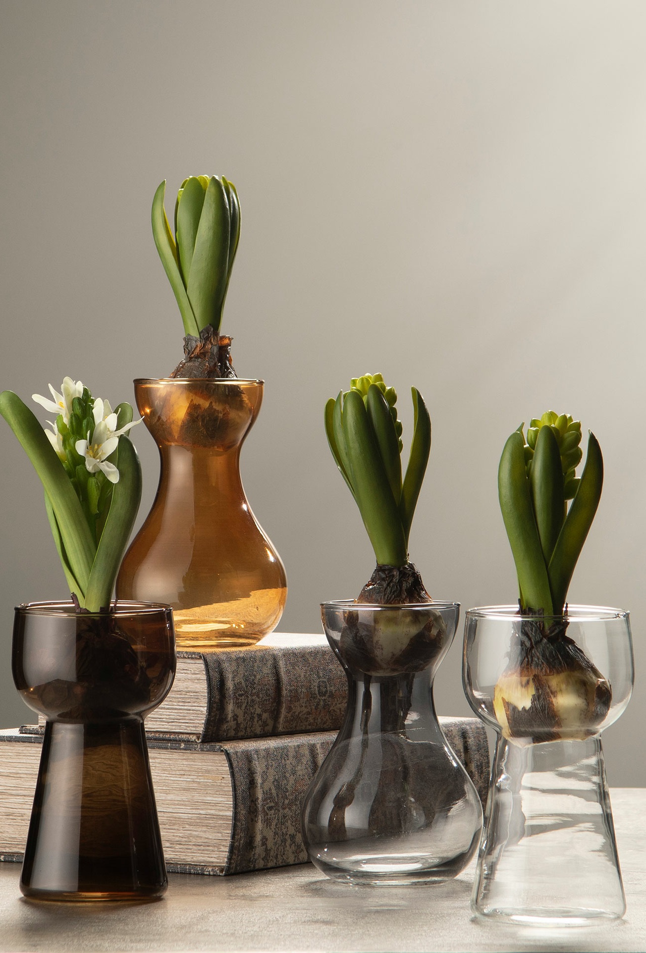 Hyacinth vase - Onion vase - Glass vase - Brown-green - 3